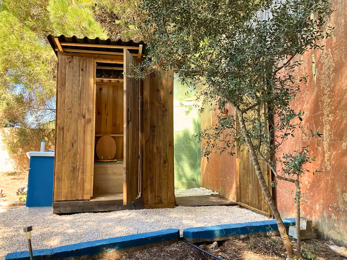 Eco dome exterior under pine tree
